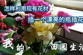 怎样利用现有花材，插一个漂亮的瓶插花。视频封面