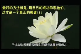 佛教讲10大因果报应，真实不虚，一定要牢记！(一)视频封面