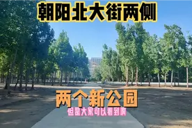 保定朝阳北大街将建设两所公园！车水马龙的城市里多一份安静！视频封面