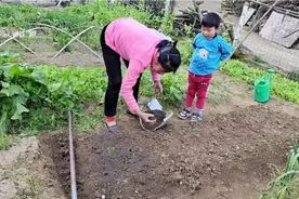 不会种菜的看过来，嫂子教你培育蔬菜苗，记住两点，出芽率百分百视频封面
