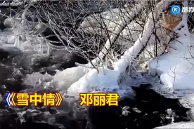 雪中情～邓丽君高清音乐版视频封面