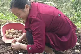 两口子干活回家，龙姐姐做了一盘红烧肉犒劳一下家人视频封面