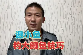 野钓：小杂鱼疯狂闹窝怎么办？老钓鱼人的3个技巧，专钓大鲫鱼视频封面