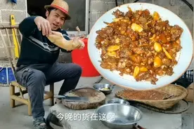 还有几只兔子赶紧弄了下酒，因为过年是不能吃兔子的，知道为何吗视频封面