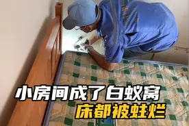 小房间没想到成了白蚁窝，抬起床垫头皮发麻，师傅喷点药收费800视频封面