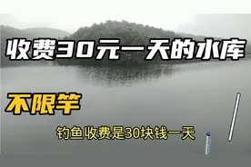 宜昌山中藏着一个，垂钓收费30元一天的水库，路线攻略送给你视频封面