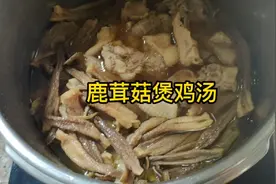 秋高气爽，广东靓汤，鹿茸菇煲鸡汤，营养丰富降血压提高免疫力
