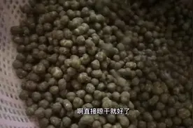 手工制作水丸的全过程