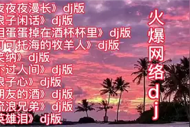 火爆网络的十首dj歌曲串烧，每首都好听