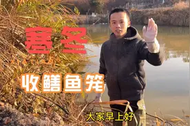12月份还有人抓鳝鱼吗？能抓到吗？我们一起来看一下。视频封面