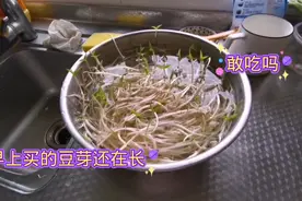 早上刚买回来的豆芽菜，不到中午就长大了，吃了会不会中毒视频封面