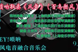 唢呐独奏《凤舞》（百鸟朝凤）上海民族乐团唢呐演奏家闫晋龙演奏视频封面