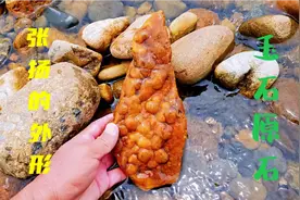 古河道中捡到罕见的黄龙玉，石上长满凸起的珍珠颗粒，第一次见