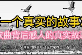 《一个真实的故事》歌曲背后感人的真实故事！视频封面