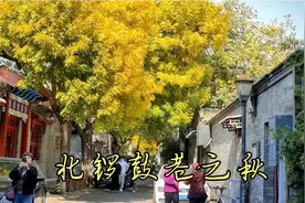 北京秋天，不能错过的风景，秋意正浓