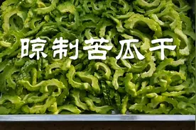 秋天晾制些苦瓜干，冬天泡茶、炒菜、熬汤营养丰富，美味无比！