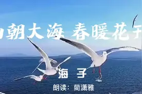 《面朝大海 春暖花开》海子视频封面