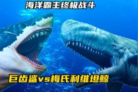 巨齿鲨最大的天敌，梅氏利维坦鲸以巨齿鲨为食，谁才是究极霸主？视频封面