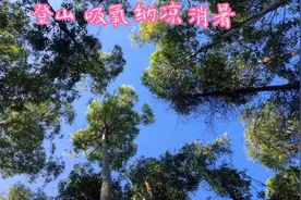 成都有个登山消暑纳凉的地方，人少免费，坐公交就可到达。视频封面