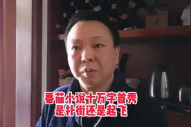 新人作者如何看番茄小说十万字首秀是扑街还是起飞视频封面
