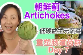 重塑肠道菌群第7天: 朝鲜蓟怎么吃? 低碳生酮朋友的益生元蔬菜视频封面
