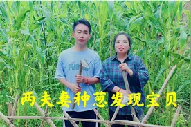水泥地上种葱，还在地里发现了两个好东西，来看看他们的神操作视频封面