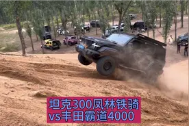 坦克300风林铁骑vs霸道4000沙地爬坡大比拼！这表现谁能更胜一筹