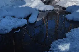 黑龙江的冬季零下30来度，虽然白雪皑皑，但是也有属于自己的色彩视频封面