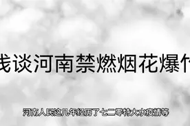 浅谈河南禁燃烟花爆竹视频封面