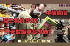 荷兰物价多少？中荷情侣介绍普通荷兰家庭日常消费，一天生活成本视频封面
