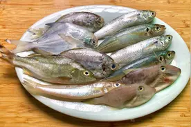 教你广东潮汕煮海鱼做法，一面鲜甜和一面焦香，同一锅不同鲜味