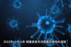 人类文明史上的奇迹视频封面