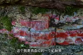 真让人意想不到，秦岭腹地也有这种鸡血红玉石，藏了一大块4000斤视频封面