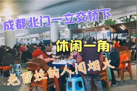 成都北门一立交桥下休闲一角，散发着老百姓的人间烟火视频封面