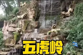 重庆平顶山公园景点《五虎岭》视频封面