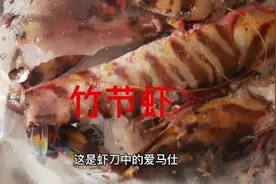 舟山东海竹节虾，虾中的爱玛仕个大肉肥，120元一斤朋友们怎么看视频封面