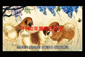 十二生肖守护神之1982年属狗五行水视频封面