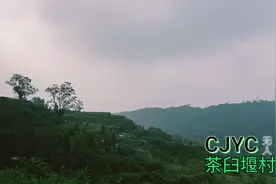 茶臼堰  一千年历史的古村 整体搬迁后的无人村视频封面