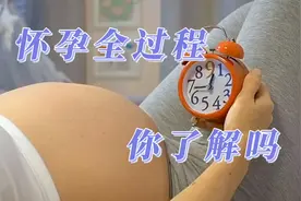 怀孕全过程，科学解释的怀孕，你了解吗