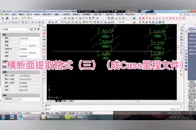 横断面提取格式（三）（成Cass里程文件）