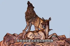 今日好书推荐《狼图腾》视频封面