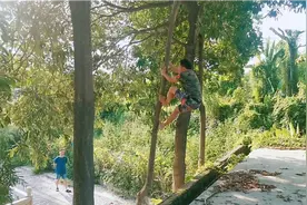 猴子爬树如何练习？街健达人教你一个技巧动作，一学就会