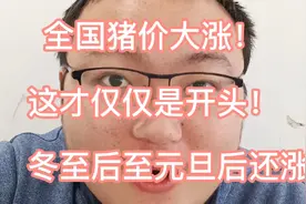 12月22日明日猪价全国涨！冬至后至元旦后还有涨！这才开头视频封面