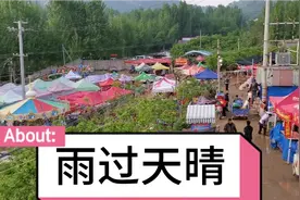 雨过天晴的杨树行，天空亮起一道彩虹