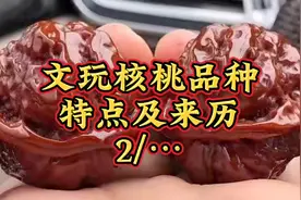 文玩核桃各品种详解视频封面