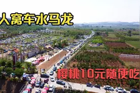 五一徐州圣人窝樱桃采摘园车水马龙、人流如潮。10元一人随便吃视频封面