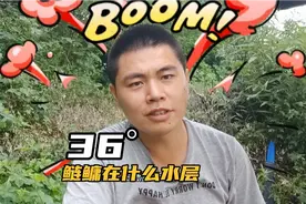 36度高温钓鲢鳙选什么水层？浮钓抽了两包饵料！水下一看我很无语