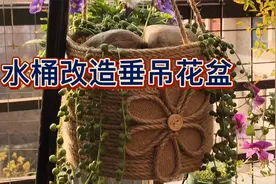 水桶改造成挂盆，栽上垂吊植物，漂亮实用！视频封面