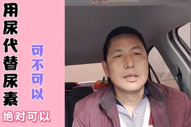 用尿代替尿素代替肥料可不可以？视频封面