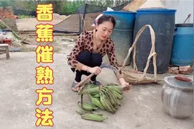 这种催熟方法你见过吗？小时候着急吃香蕉，经常用的这个催熟方法